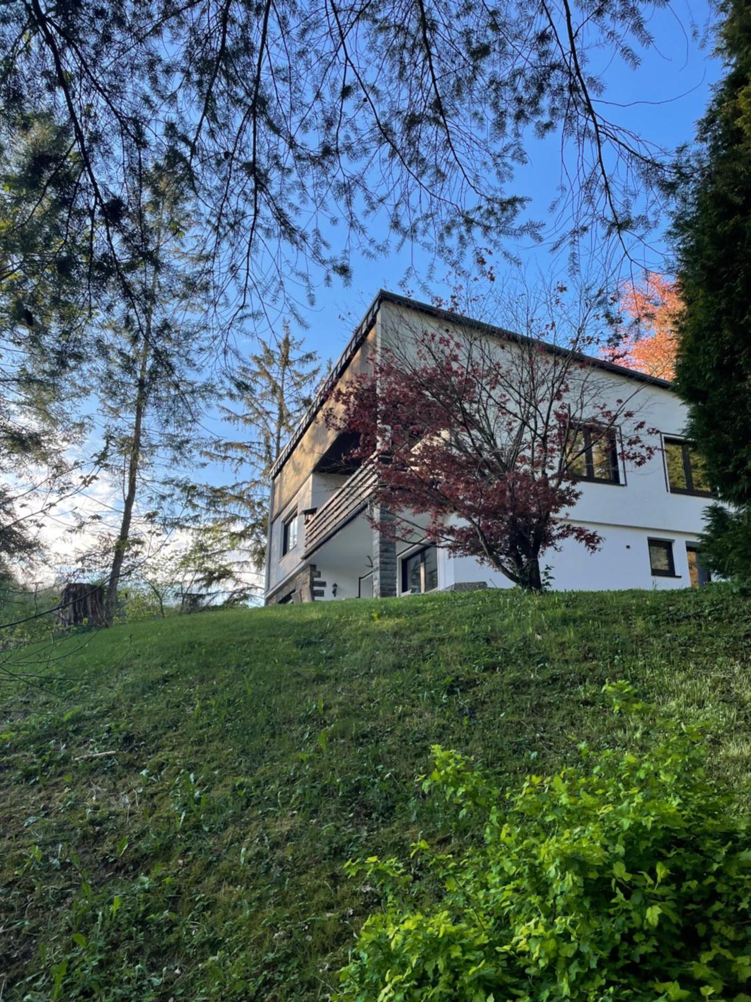 Talblick Chalet Blankenheim Blankenheim  Exterior photo